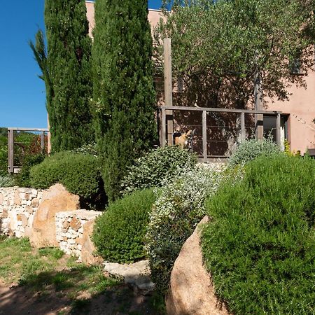 Appartement Stintinu - Tarra Zuria Bonifacio  Esterno foto